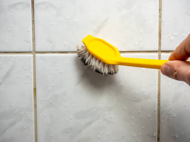 Best Best Mold Removal Companies  in Tallmadge, OH