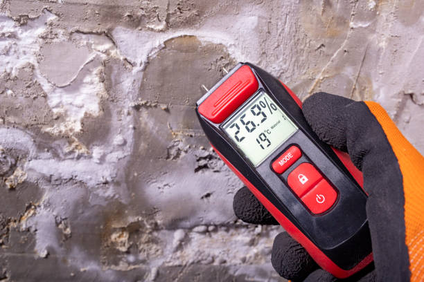 Best Mold Cleaning Services  in Tallmadge, OH
