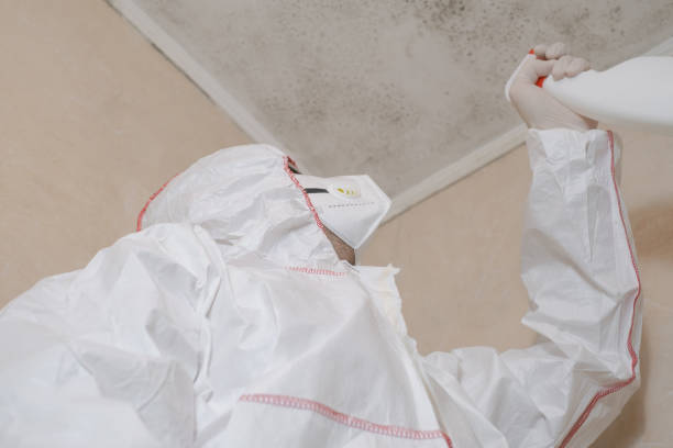 Best Toxic Mold Removal  in Tallmadge, OH