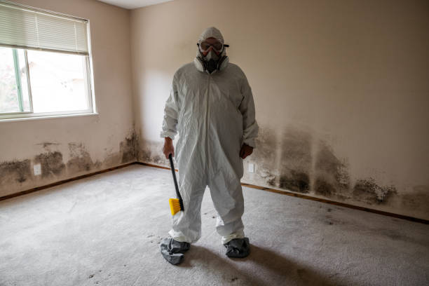 Home Mold Removal in Tallmadge, OH